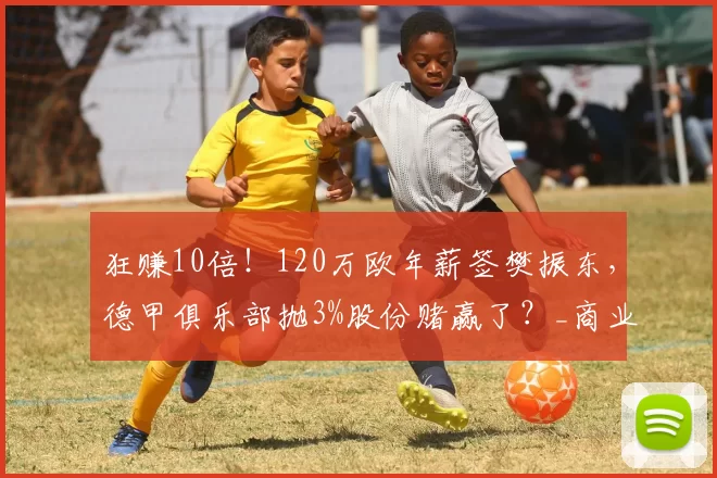狂赚10倍！120万欧年薪签樊振东，德甲俱乐部抛3%股份赌赢了？_商业_合作_萨尔布吕肯