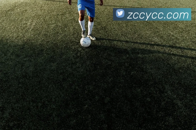 米兰app中国区官网品牌故事