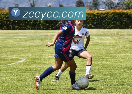 米兰app中国区官网服务体系